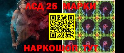 гидропоника Краснодар