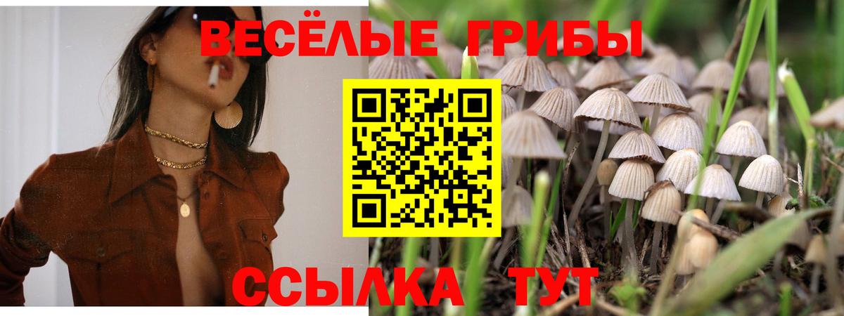 Галлюциногенные грибы мухоморы Гагарин